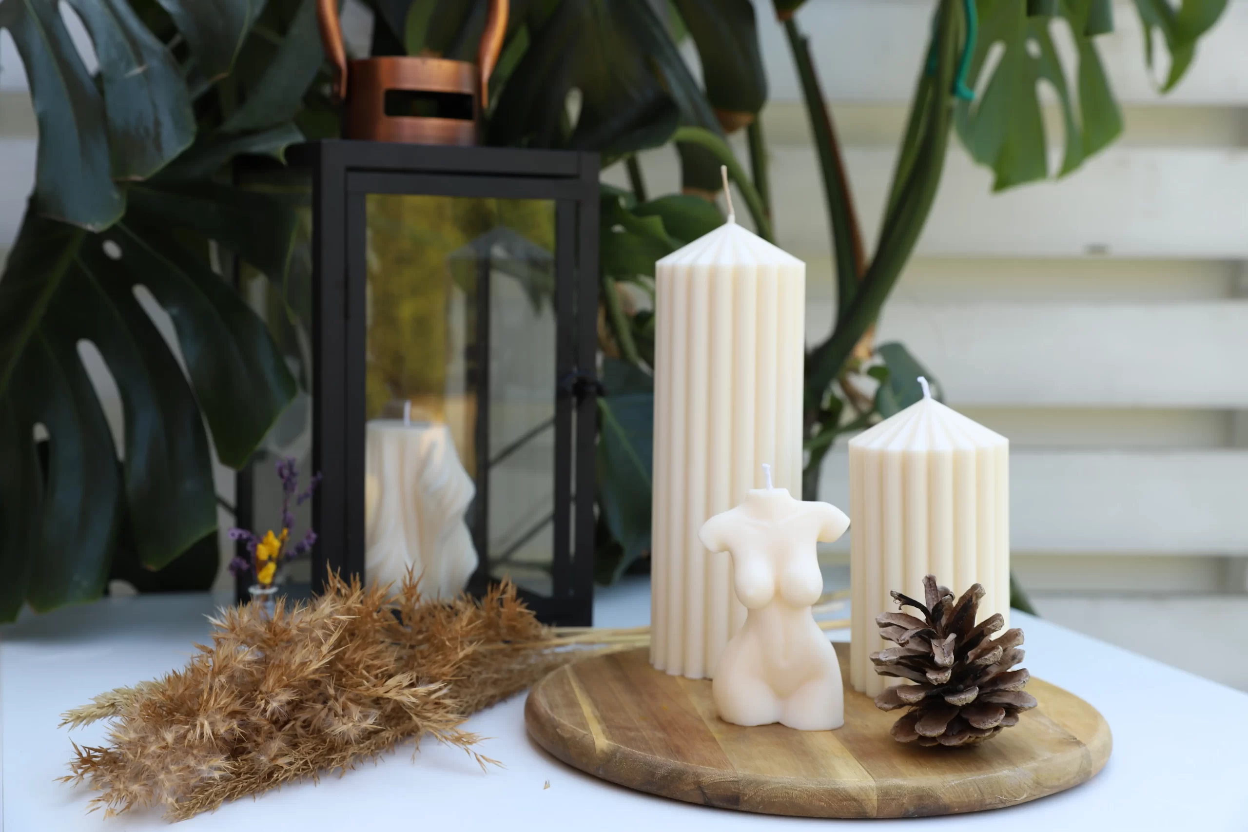 IMG 9255 scaled scaled